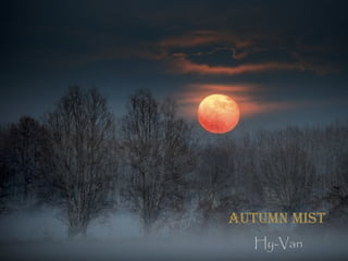 Autumn mist 
Hy-Van 
