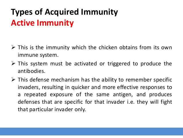 Introduction To Avian Immunity