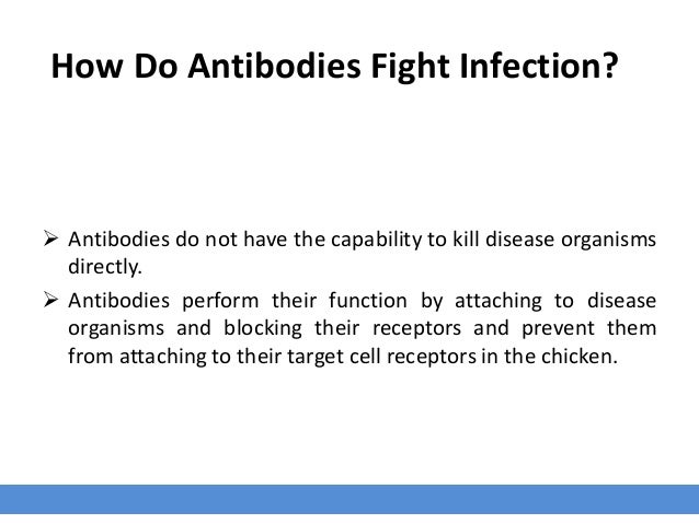 Introduction To Avian Immunity