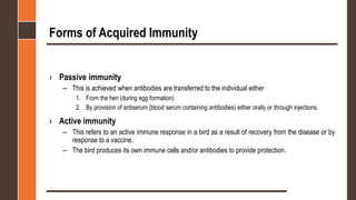 Immunity Paperwork 1- Avian Immunity_Intorduction.pptx