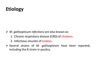 Plan of talk
 Introduction
 Etiology
 Species affected
 Geographical distribution
 Transmission
 Clinical signs
 Post mortem lesions
 Treatment
 Prevention
 