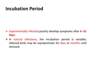 Clinical Signs
 M. gallisepticum infections vary from asymptomatic to severe,
depending on the infecting strain and other factors, such as
the infection with other respiratory pathogen;
1. NDV
2. IBV
3. E. coli
 