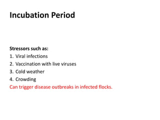 Cont. …
Infected chickens usually develop respiratory symptoms that
may include:
1. Depression
2. Rales
3. Coughing
4. Sneezing
5. Nasal discharges
6. Dyspnea
7. Decreased weight gain, feed efficiency and egg production
 