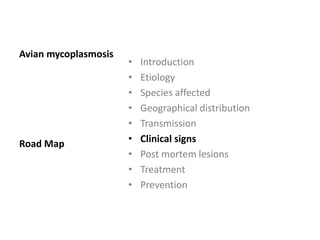 Conjunctivitis, edema
(eyelid, periorbital)
 