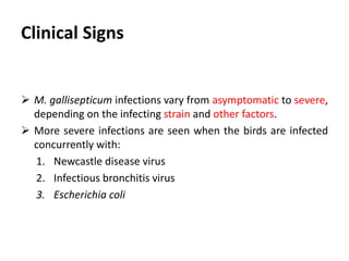 Conjunctivitis
Sinusitis
 