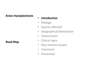 Plan of talk
 Introduction
 Etiology
 Species affected
 Geographical distribution
 Transmission
 Clinical signs
 Post mortem lesions
 Treatment
 Prevention
 