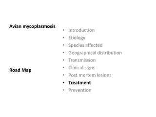 Cont. …
 On multi-age farms, it is difficult to control M.G..
 On a single-age farm, M.G. control mainly means control of
movement of staff and material.
 