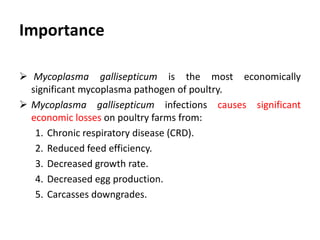 Importance
 Mycoplasma gallisepticum is the most economically
significant mycoplasma pathogen of poultry.
 Mycoplasma gallisepticum infections causes significant
economic losses on poultry farms from:
1. Chronic respiratory disease (CRD).
2. Reduced feed efficiency.
3. Decreased growth rate.
4. Decreased egg production.
5. Carcasses downgrades.
 