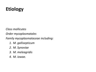 Cont. …
 M. gallisepticum infections are also known as:
1. Chronic respiratory disease (CRD) of chickens.
2. Infectious sinusitis of turkeys.
 Several strains of M. gallisepticum have been reported,
including the R strain in poultry.
 