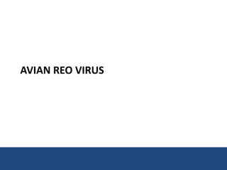 Avian Reo Virus
 