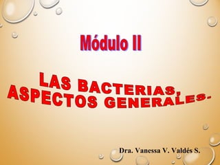 Dra. Vanessa V. Valdés S.
 