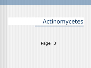 Actinomycetes Page  3 