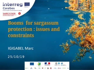 Booms for sargassum
protection : issues and
constraints
IGIGABEL Marc
25/10/19
 