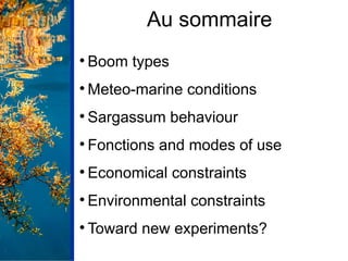 Au sommaire

Boom types

Meteo-marine conditions

Sargassum behaviour

Fonctions and modes of use

Economical constra...