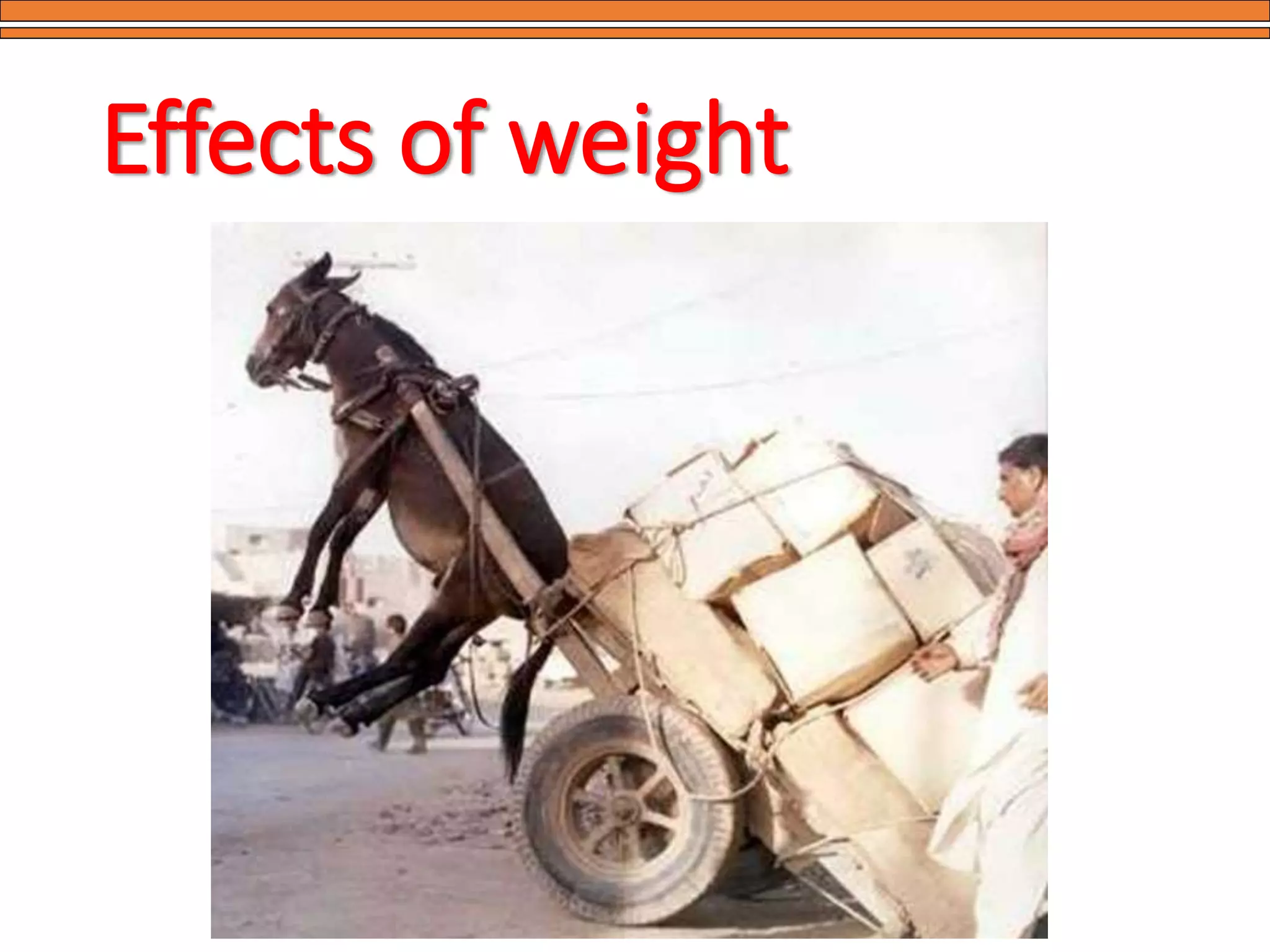 Effects of weight
 