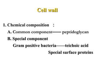 Cell wallCell wall
1.1. Chemical composition ：：
A.A. Common component—— peptidoglycan
B. Special componentB. Special component
Gram positive bacteria——teichoic acidGram positive bacteria——teichoic acid
Special surface proteinsSpecial surface proteins
 