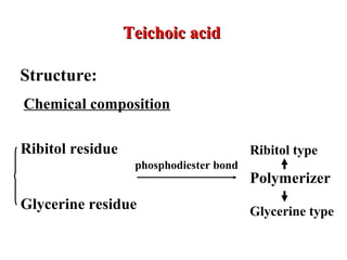 Teichoic acidTeichoic acid
Structure:
Chemical composition
phosphodiester bond
Ribitol residue
Glycerine residue
Ribitol type
Polymerizer
Glycerine type
 