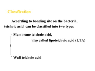 Classfication
According to bonding site on the bacteria,
teichoic acid can be classified into two types
Membrane teichoic acid,
also called lipoteichoic acid (LTA)
Wall teichoic acid
 