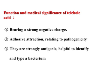 Function and medical significance of teichoicFunction and medical significance of teichoic
acidacid ：：
① Bearing a strong negative charge.
② Adhesive attraction, relating to pathogenicity
③ They are strongly antigenic, helpful to identify
and type a bacterium
 