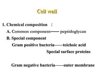 Cell wallCell wall
1.1. Chemical composition ：：
A.A. Common component—— peptidoglycan
B. Special componentB. Special component
Gram positive bacteria——teichoic acidGram positive bacteria——teichoic acid
Special surface proteinsSpecial surface proteins
Gram negative bacteria——outer membraneGram negative bacteria——outer membrane
 