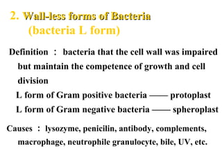 2. Wall-less forms of BacteriaWall-less forms of Bacteria
(bacteria L form)
Causes ： lysozyme, penicilin, antibody, complements,
macrophage, neutrophile granulocyte, bile, UV, etc.
Definition ： bacteria that the cell wall was impaired
but maintain the competence of growth and cell
division
L form of Gram positive bacteria —— protoplast
L form of Gram negative bacteria —— spheroplast
 