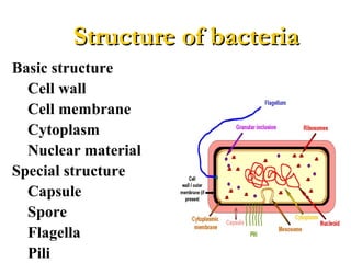Basic structure
Cell wall
Cell membrane
Cytoplasm
Nuclear material
Special structure
Capsule
Spore
Flagella
Pili
Structure of bacteriaStructure of bacteria
 