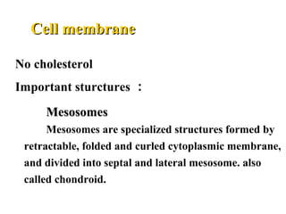 No cholesterol
Important sturctures ：
Cell membraneCell membrane
MesosomesMesosomes
Mesosomes are specialized structures formed by
retractable, folded and curled cytoplasmic membrane,
and divided into septal and lateral mesosome. also
called chondroid.
 