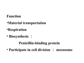 Function
•Material transportation
•Respiration
• Biosynthesis ：
Penicillin-binding protein
• Participate in cell division ： mesosome
 
