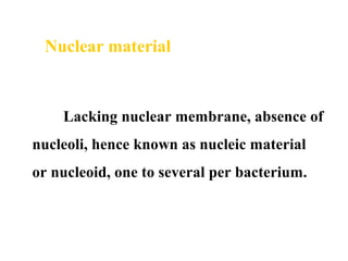 Lacking nuclear membrane, absence of
nucleoli, hence known as nucleic material
or nucleoid, one to several per bacterium.
Nuclear material
 