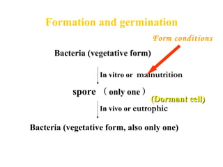 Formation and germination 
In vitro or malnutrition
In vivo or eutrophic
Bacteria (vegetative form)
spore （ only one ）
Bacteria (vegetative form, also only one)
Form conditions
(Dormant cell)(Dormant cell)
 