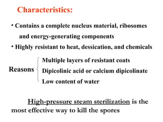 Multiple layers of resistant coats
Dipicolinic acid or calcium dipicolinate 
Low content of water
• Contains a complete nucleus material, ribosomes
and energy-generating components
• Highly resistant to heat, dessication, and chemicals
Reasons
High-pressure steam sterilization is the
most effective way to kill the spores
Characteristics:
 