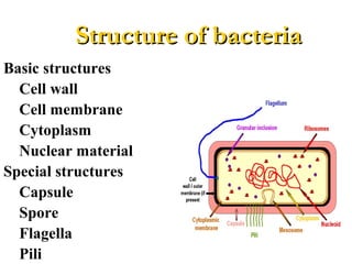 Basic structures
Cell wall
Cell membrane
Cytoplasm
Nuclear material
Special structures
Capsule
Spore
Flagella
Pili
Structure of bacteriaStructure of bacteria
 