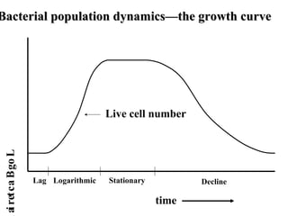 Bacterial population dynamics—the growth curveBacterial population dynamics—the growth curve
time
Log Bacteria
Lag Logarithmic Stationary Decline
Live cell number
 