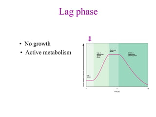 Lag phase 
•  No growth 
•  Active metabolism
 