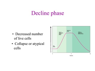 Decline phase 
•  Decreased number 
of live cells 
•  Collapse or atypical 
cells
 