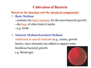 Based on the function and the chemical components: 
  Basic Medium 
­­contains the basic nutrients for the most bacterial growth; 
­­the base of other kind of media. 
­­e.g. broth. 
  Nutrient Medium/Enriched Medium 
Additional or special nutrients (e.g., serum, growth 
factors, trace elements) are added to support some 
fastidious bacterial growth. 
e.g. blood agar.
Cultivation of Bacteria
 