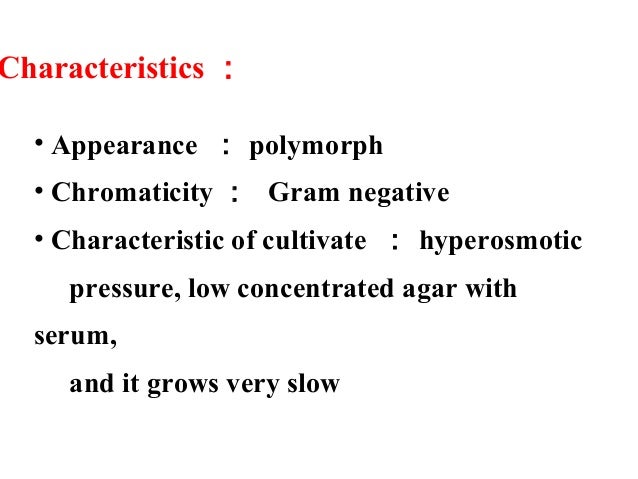 1 basic characters of bacteria