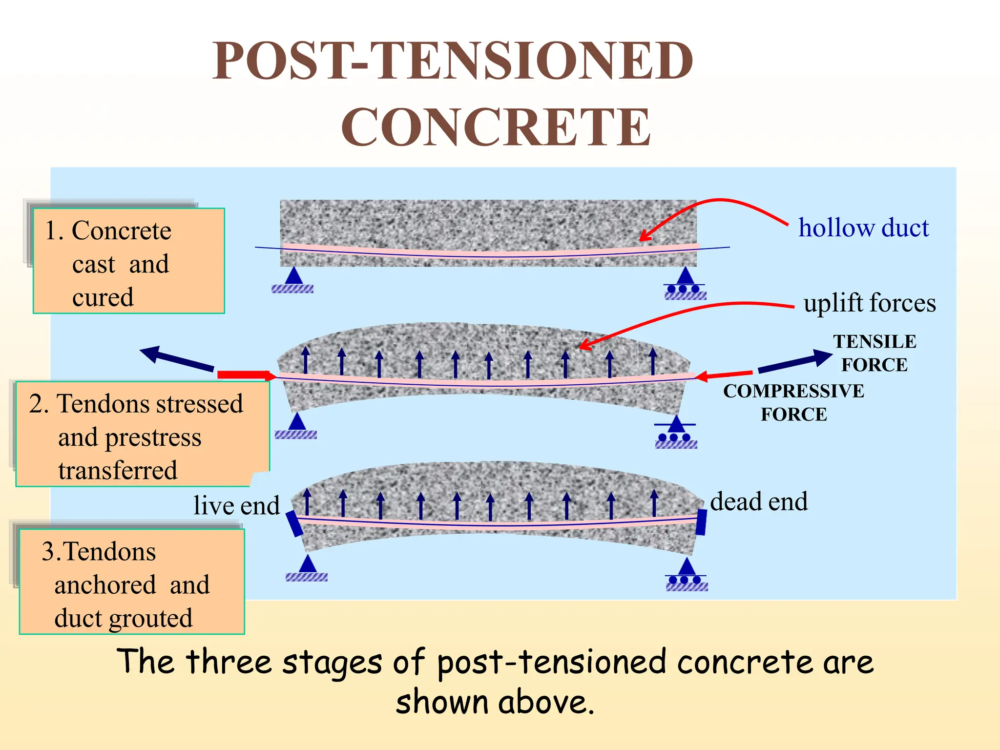 POST-TENSIONED
CONCRETE
The three stages of post-tensioned concrete are
shown above.
hollow duct
1. Concrete
cast and
cured uplift forces
TENSILE
FORCE
COMPRESSIVE
FORCE
2. Tendons stressed
and prestress
transferred
dead end
live end
3.Tendons
anchored and
duct grouted
15
 