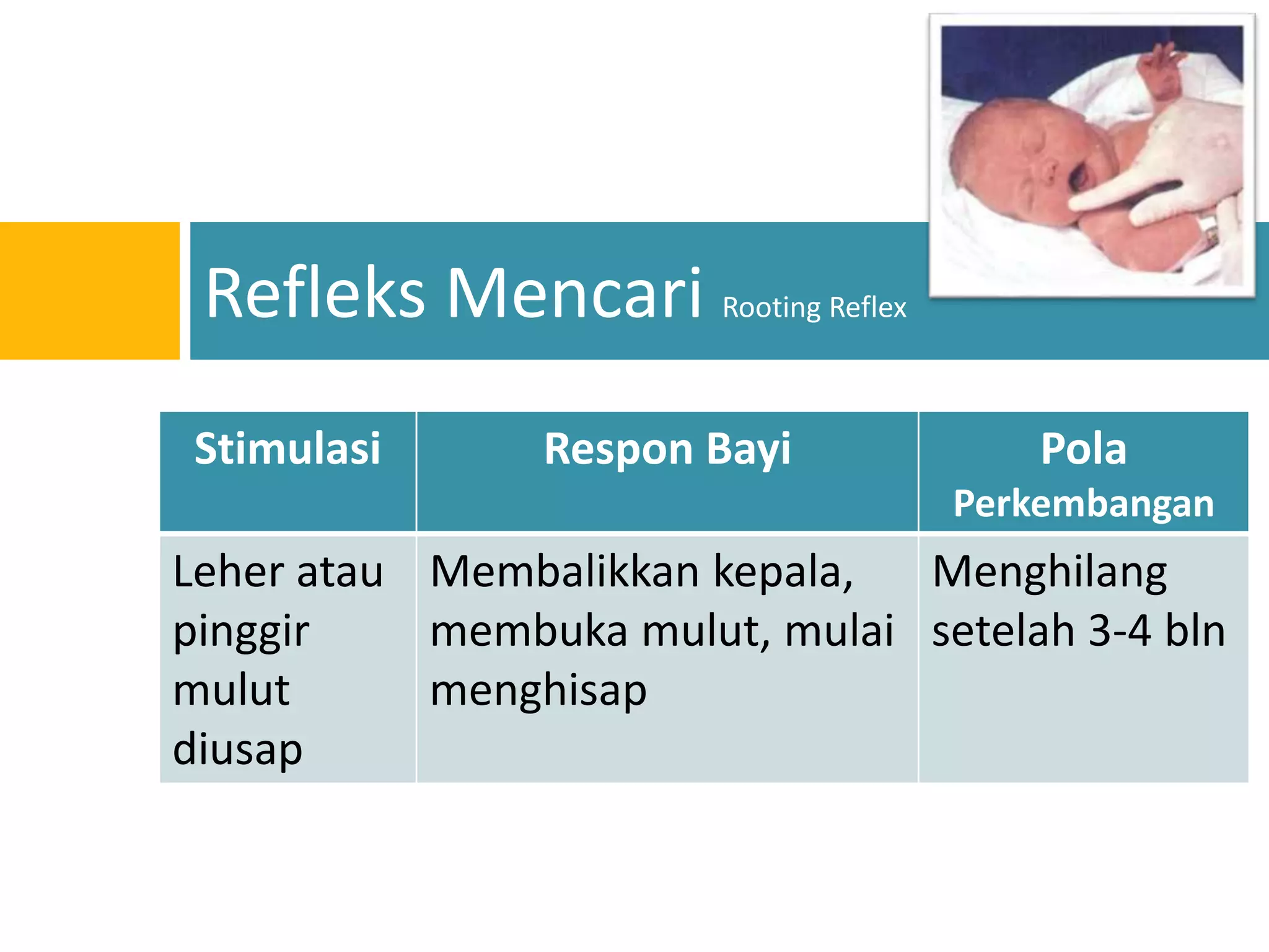 PPT Perkembangan Bayi 0-1 Tahun | PPTX