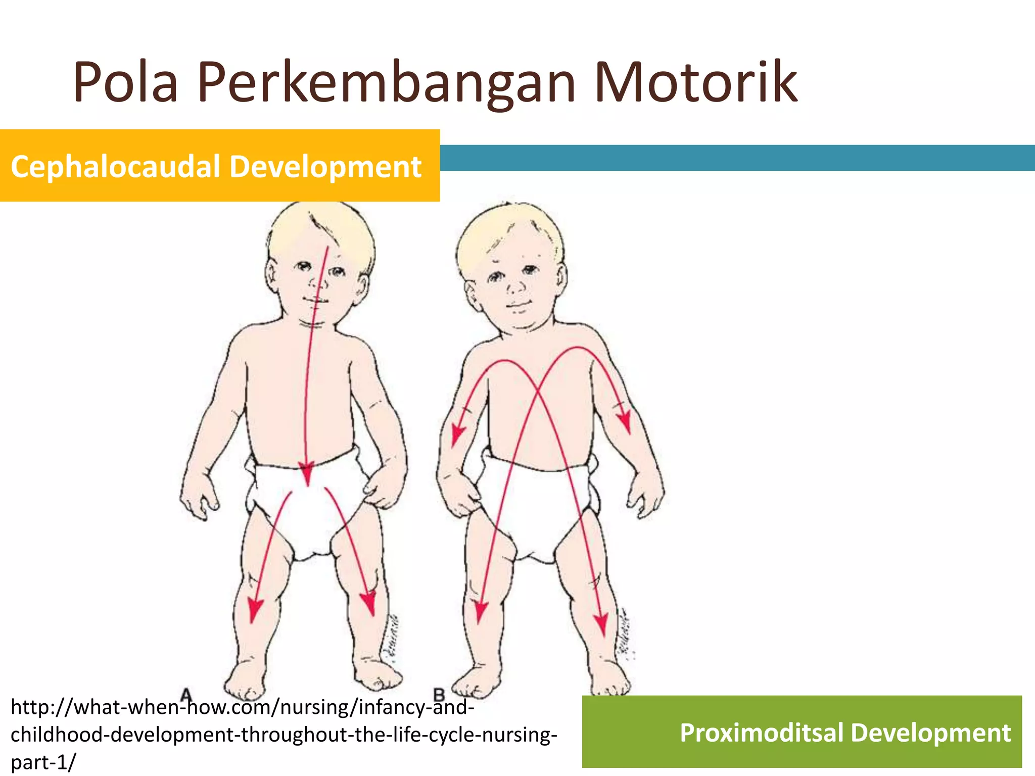 PPT Perkembangan Bayi 0-1 Tahun | PPTX