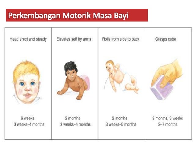 PPT Perkembangan Bayi 0-1 Tahun | PPTX