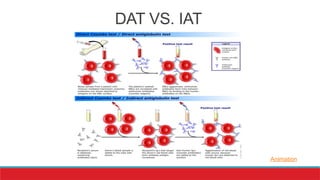 Blood Bank Concepts & Genetics- PowerPoint | PPTX