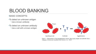 Blood Bank Concepts & Genetics- PowerPoint | PPTX