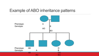 Blood Bank Concepts & Genetics- PowerPoint | PPTX