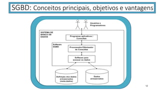 SGBD: Conceitos principais, objetivos e vantagens
12
 