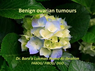 Benign ovarian tmours
Benign ovarian tumours
 