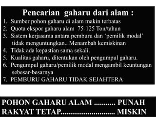Pencarian gaharu dari alam :
1. Sumber pohon gaharu di alam makin terbatas
2. Quota ekspor gaharu alam 75-125 Ton/tahun
3. Sistem kerjasama antara pemburu dan ‘pemilik modal’
   tidak menguntungkan.. Menambah kemiskinan
4. Tidak ada kepastian sama sekali.
5. Kualitas gaharu, ditentukan oleh pengumpul gaharu.
6. Pengumpul gaharu/pemilik modal mengambil keuntungan
   sebesar-besarnya
7. PEMBURU GAHARU TIDAK SEJAHTERA


POHON GAHARU ALAM ........... PUNAH
RAKYAT TETAP............................ MISKIN
 