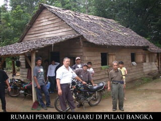 RUMAH PEMBURU GAHARU DI PULAU BANGKA
 