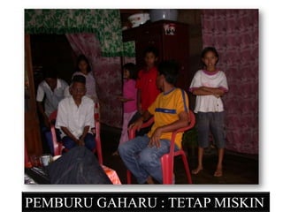 PEMBURU GAHARU : TETAP MISKIN
 