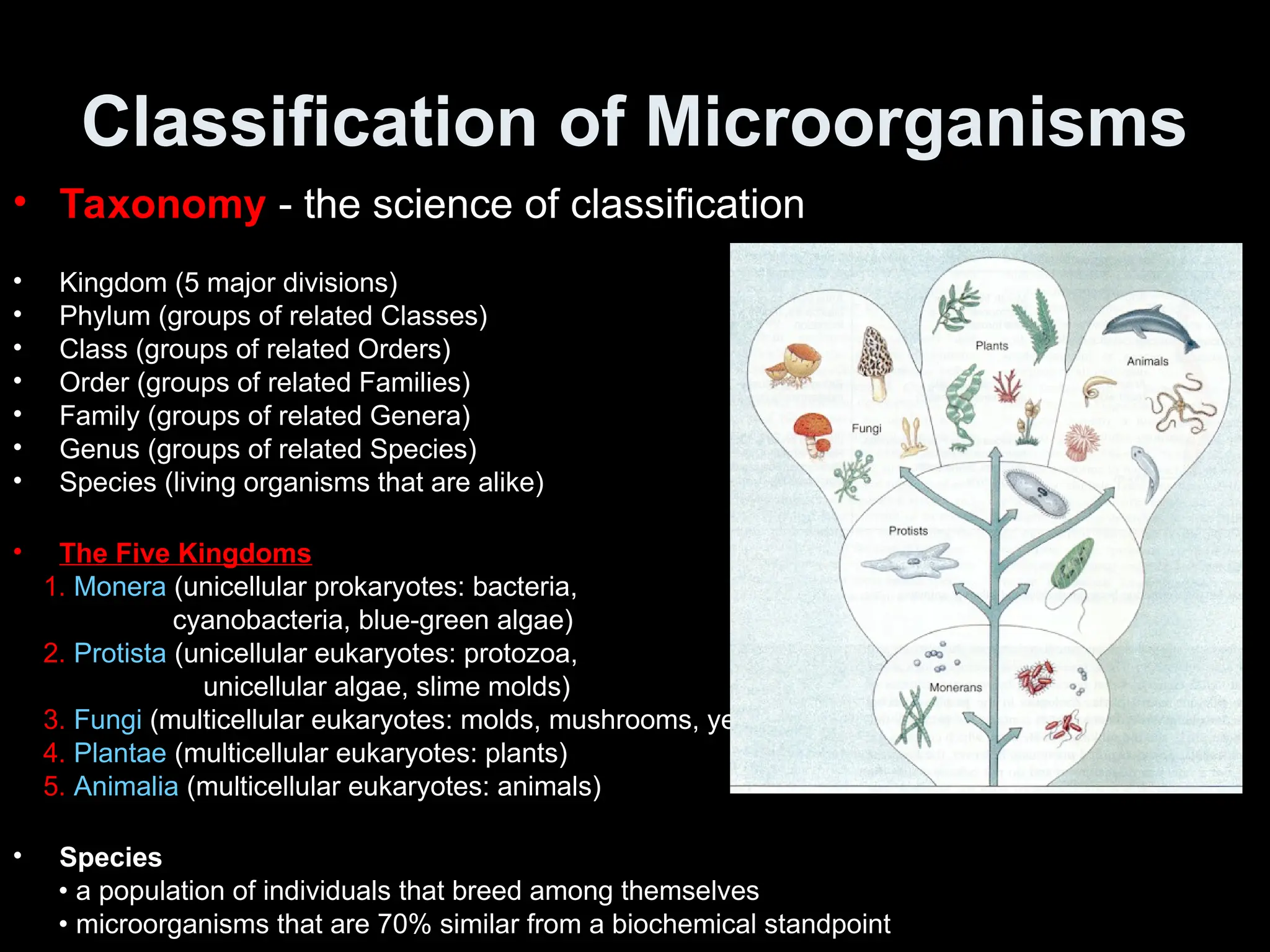 Classification of Microorganisms
• Taxonomy - the science of classification
• Kingdom (5 major divisions)
• Phylum (groups of related Classes)
• Class (groups of related Orders)
• Order (groups of related Families)
• Family (groups of related Genera)
• Genus (groups of related Species)
• Species (living organisms that are alike)
• The Five Kingdoms
1. Monera (unicellular prokaryotes: bacteria,
cyanobacteria, blue-green algae)
2. Protista (unicellular eukaryotes: protozoa,
unicellular algae, slime molds)
3. Fungi (multicellular eukaryotes: molds, mushrooms, yeasts)
4. Plantae (multicellular eukaryotes: plants)
5. Animalia (multicellular eukaryotes: animals)
• Species
• a population of individuals that breed among themselves
• microorganisms that are 70% similar from a biochemical standpoint
 